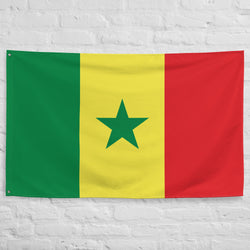 Senegal Senegalese Flag Wall Decor Art Print Banner Gift Ideas